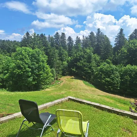 Tonica Apartman *