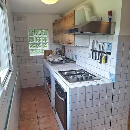 Tonica Apartman *